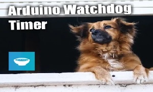 Watchdog timer là gì?